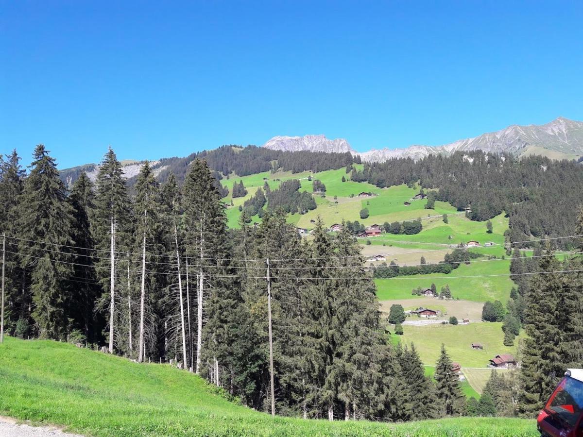 Ferien In Der Bergwelt Von Adelboden Bed & Breakfast エクステリア 写真